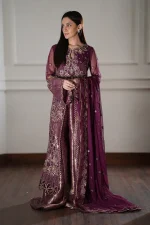 4 Piece Embroidered Fancy Dress Rang Rasiya Chatoyer Nareman - Image 2