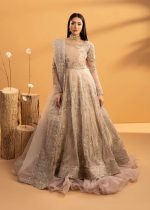 ✨Zarqun Organza Maxi – এলিগেন্সের ফ্লোর-লেংথ স্টেটমেন্ট ✨ - Image 4