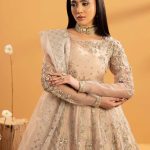 ✨Zarqun Organza Maxi – এলিগেন্সের ফ্লোর-লেংথ স্টেটমেন্ট ✨