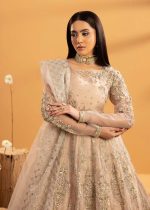 ✨Zarqun Organza Maxi – এলিগেন্সের ফ্লোর-লেংথ স্টেটমেন্ট ✨