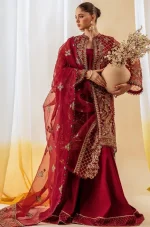 Beechtree Ruby Organza Suit 4-pcs - Image 4