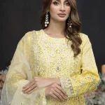 Stitched Embroidered Organza Dress Feiona Zainab Fazlani 06