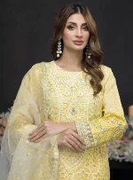 Stitched Embroidered Organza Dress Feiona Zainab Fazlani 06