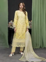 Stitched Embroidered Organza Dress Feiona Zainab Fazlani 06 - Image 3