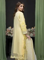 Stitched Embroidered Organza Dress Feiona Zainab Fazlani 06 - Image 4