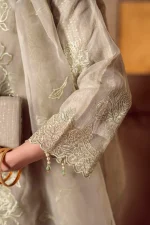 Stitched 4Pc Embroidered Organza Dress Guzel Sitara Noori - Image 5