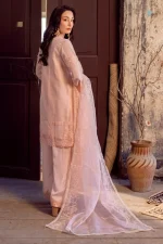 Stitched 4Pc Embroidered Organza Dress Guzel Sitara Tara - Image 2