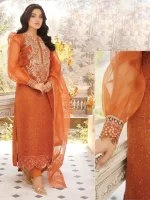 Stitched Embroidered Orange Organza Dress - Image 3