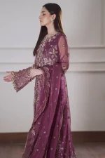 4 Piece Embroidered Fancy Dress Rang Rasiya Chatoyer Nareman - Image 4