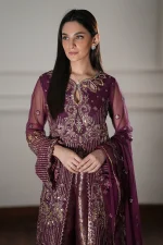 4 Piece Embroidered Fancy Dress Rang Rasiya Chatoyer Nareman