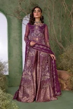 4 Piece Embroidered Fancy Dress Rang Rasiya Chatoyer Nareman - Image 7