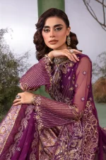 4 Piece Embroidered Fancy Dress Rang Rasiya Chatoyer Nareman - Image 9