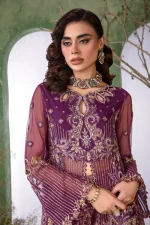 4 Piece Embroidered Fancy Dress Rang Rasiya Chatoyer Nareman - Image 11