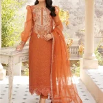 Stitched Embroidered Orange Organza Dress