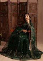 Bottle Green Chiffon Lehenga by Mohagni – AVR0033 - Image 8